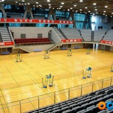 上海体育馆专用木地板公司，实木材质生产厂家