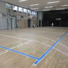 羽毛球馆木地板要求和篮球的实木地板不一样，有区别的
